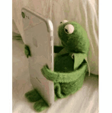 Selfie Heart GIF - Selfie Heart Kermit GIFs