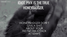 Pivx Honey Badger GIF - Pivx Honey Badger Pump GIFs