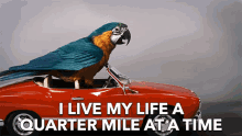I Live My Life A Quarter Mile At A Time Live Your Life GIF - I Live My Life A Quarter Mile At A Time Live Your Life Racing GIFs