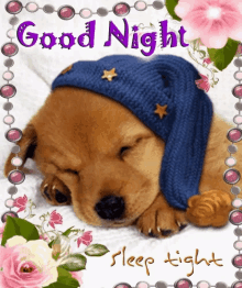 Good Night Sleep Tight GIF - Good Night Sleep Tight Puppy GIFs