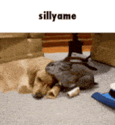 a dog and a rabbit are laying on the floor with the words sillyame above them
