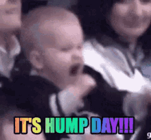 Hump Day Day GIF - Hump Day Hump Day GIFs