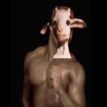 Cursed Goat GIF - Cursed Goat Chad GIFs