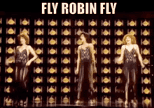 Fly Robin Fly Silver Convention GIF - Fly Robin Fly Silver Convention Up Up To The Sky GIFs