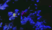 a blurry picture of a person in a dark room with blue lights behind them .