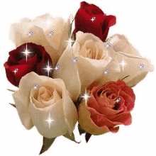 white red saffron roses