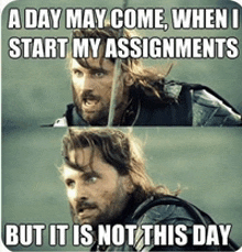 Lord Of The Rings Aragorn GIF - Lord Of The Rings Aragorn Homework GIFs