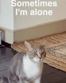 Sometimes Im Alone Broken GIF - Sometimes Im Alone Broken Lonely Cat GIFs