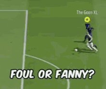 the goon fifa foul or fanny foul fanny