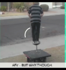 Funny Afv GIF - Funny Afv Why - Discover & Share GIFs