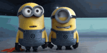 Minions - Still, Then Laugh GIF - Minions That Look Laughing GIFs
