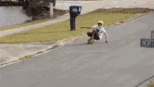 I Get By With A Little Help From My Friends GIF - Closecall Hit Head GIFs