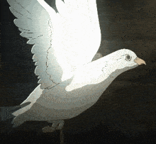a drawing of a white pigeon flying with its wings spread