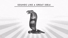 Sounds Like Great Idea GIF - Sounds Like Great Idea Best Of Intentions GIFs
