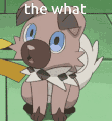 rockruff the what
