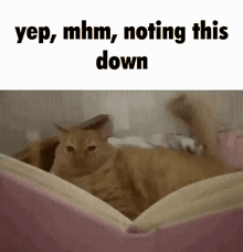 a cat is laying on a bed with the words `` yep , mhm , noting this down '' written above it .
