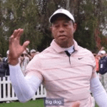 a man in a pink shirt and white hat is standing on a golf course waving .