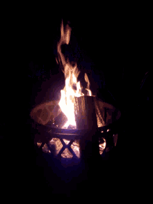 Hot Campfire GIF - Hot Campfire Flames GIFs
