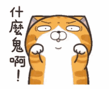 Cat Lan Lan Cat GIF - Cat Lan Lan Cat Hide GIFs
