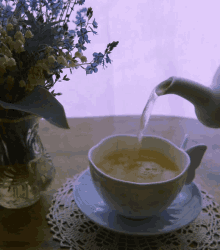 Kahve Tea GIF - Kahve Tea GIFs
