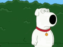 Stewie Family Guy GIF - Stewie Family Guy Kick Your Ass GIFs