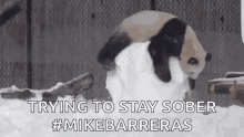 Mike Barreras Sober GIF - Mike Barreras Sober Staying Strong GIFs