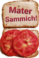 Mater Sammich Tomato Sandwich Sticker - Mater Sammich Tomato Sandwich Homegrown Tomato Stickers