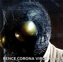 The Fly GIF - The Fly Thefly GIFs
