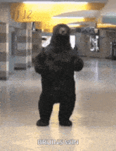 boston bruins bear dancing victory dance dance off