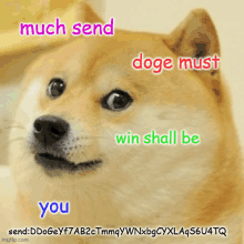 Doge Send GIF - Doge Send GIFs