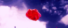 a red rose is flying through the air in the sky .