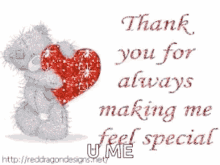 thank you for always making me feel special thanks thank you special bear
