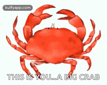 Crab Gif GIF