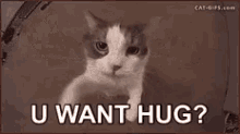 U Want Hug GIF