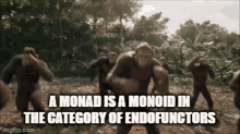 Monad Monoid GIF - Monad Monoid Category Theory GIFs