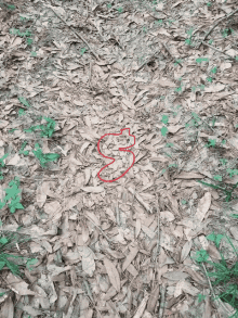 Hidden Snake GIF - Hidden Snake GIFs