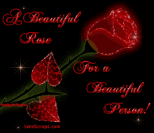 Rose Its A Beautiful Rose GIF - Rose Its A Beautiful Rose For A Beautiful Person GIFs