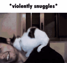 snuggles bunny violently snuggles cat