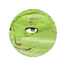 tohru adachi cabbage p4 persona4