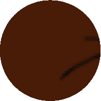 a pixel art of a brown circle with a black border