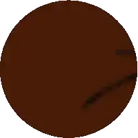 a pixel art of a brown circle with a black border
