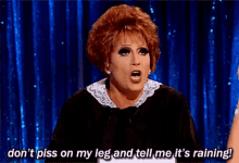 Bianca Del Rio Dont Piss On My Leg And Tell Me Its Raining GIF - Bianca Del Rio Dont Piss On My Leg And Tell Me Its Raining Drag GIFs
