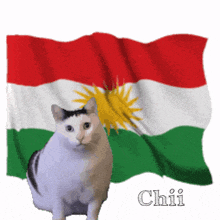 a cat is sitting in front of a waving kurdish flag with the name chii written below it