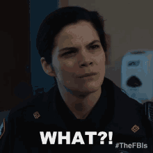 What Janine Viano GIF - What Janine Viano Fbi Most Wanted GIFs