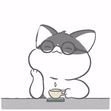 cat gray glasses coffee coffee time