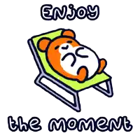 a cartoon of a hamster laying on a beach chair with the words enjoy the moment below it