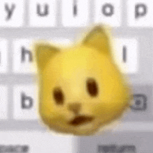 a yellow cat is sitting on top of a keyboard with the letters y and p visible .