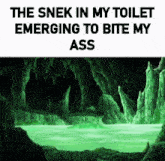 Zygarde The Snek In My Toilet Emerging To Bite My Ass GIF - Zygarde The Snek In My Toilet Emerging To Bite My Ass Pokemon GIFs