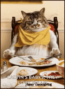 Happy Thanksgiving Full GIF - Happy Thanksgiving Full Cat GIFs