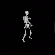 Skeletondance GIF - Skeletondance GIFs
